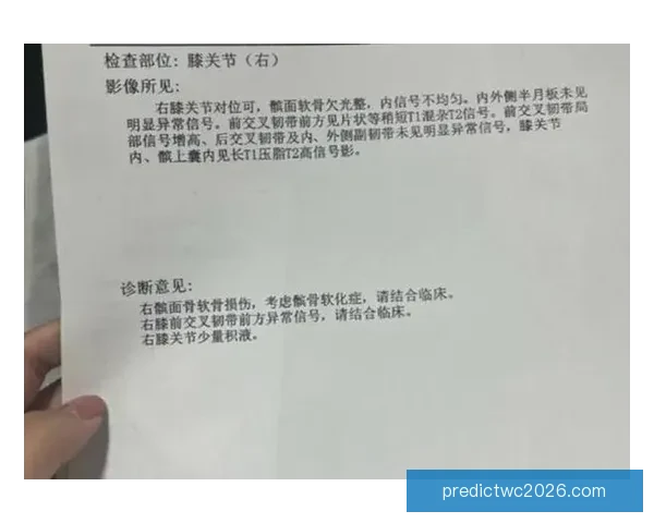 穆迪受伤可能影响下赛季复出队医称髌骨肌腱问题严重